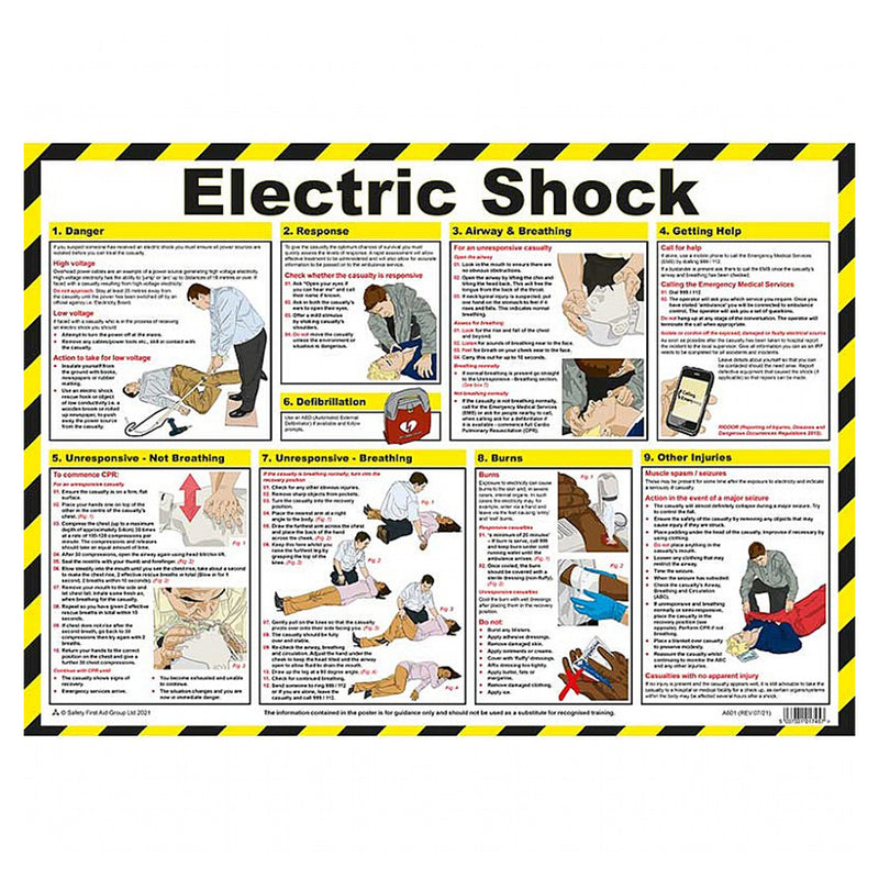 Electric Shock Treatment Guide 59x42cm Laminated Poster (A2)