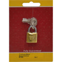 Luggage Padlock